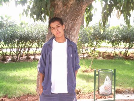 mehdi